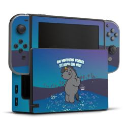 Folien für Spielekonsolen matt