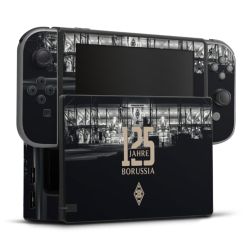 Folien für Spielekonsolen matt