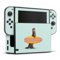 Foils for Consoles matt