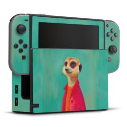 Foils for Consoles matt