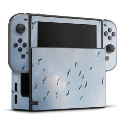 Foils for Consoles matt