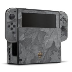 Folien für Spielekonsolen matt