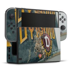 Folien für Spielekonsolen matt