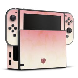 Folien für Spielekonsolen matt