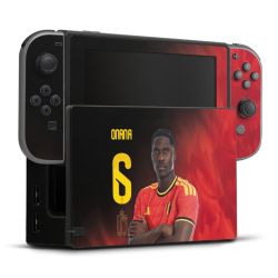 Folien für Spielekonsolen matt