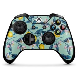 Folien für Controller matt