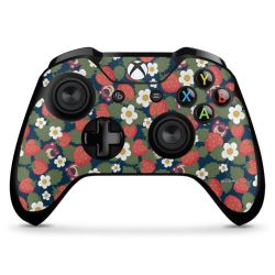 Folien für Controller matt