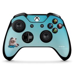 Foils for Controller matt