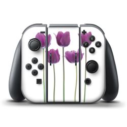 Folien für Controller matt