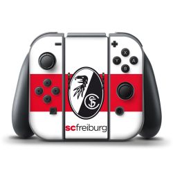 Folien für Controller matt