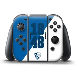 Folien für Controller matt