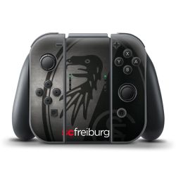 Folien für Controller matt