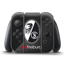 Folien für Controller matt