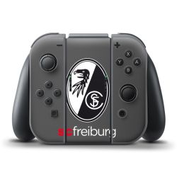 Folien für Controller matt