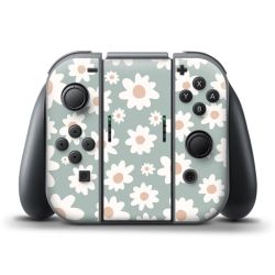 Folien für Controller matt