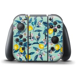 Folien für Controller matt