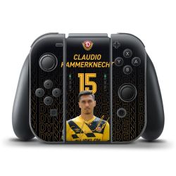 Folien für Controller matt