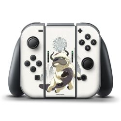 Foils for Controller matt