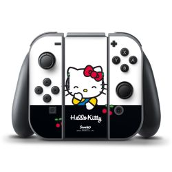 Folien für Controller matt