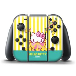 Folien für Controller matt