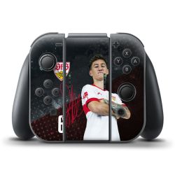 Folien für Controller matt