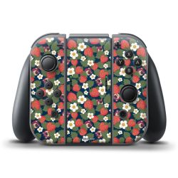 Folien für Controller matt