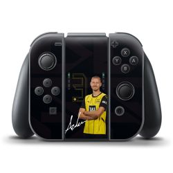 Foils for Controller matt