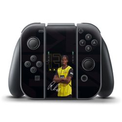 Foils for Controller matt