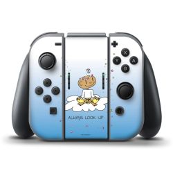 Folien für Controller matt