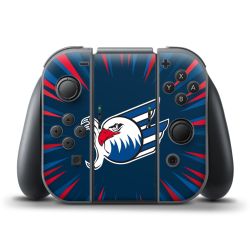 Folien für Controller matt