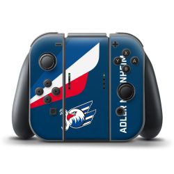 Folien für Controller matt