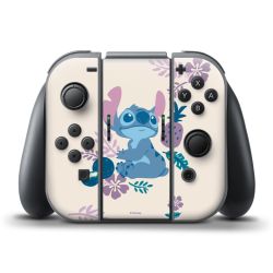 Folien für Controller matt