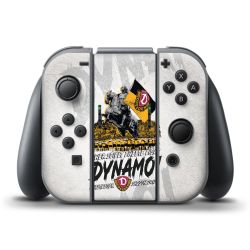 Folien für Controller matt