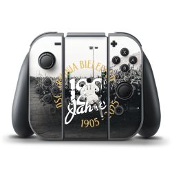 Folien für Controller matt