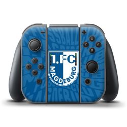 Folien für Controller matt