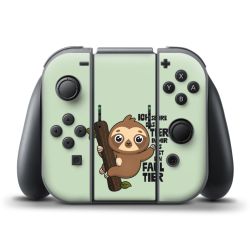 Folien für Controller matt