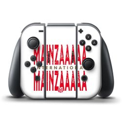 Folien für Controller matt