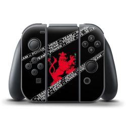 Folien für Controller matt