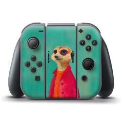 Foils for Controller matt