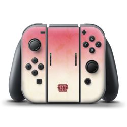 Folien für Controller matt