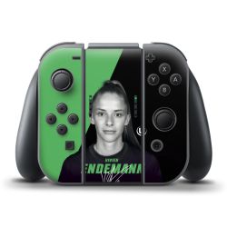 Folien für Controller matt
