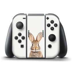 Foils for controller matt