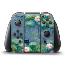 Foils for Controller matt