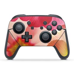 Folien für Controller matt