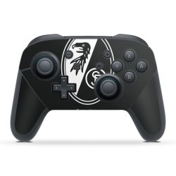 Folien für Controller matt