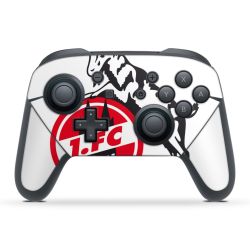 Folien für Controller matt