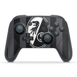 Folien für Controller matt