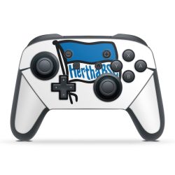 Folien für Controller matt