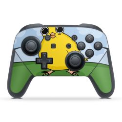 Folien für Controller matt