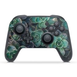 Folien für Controller matt